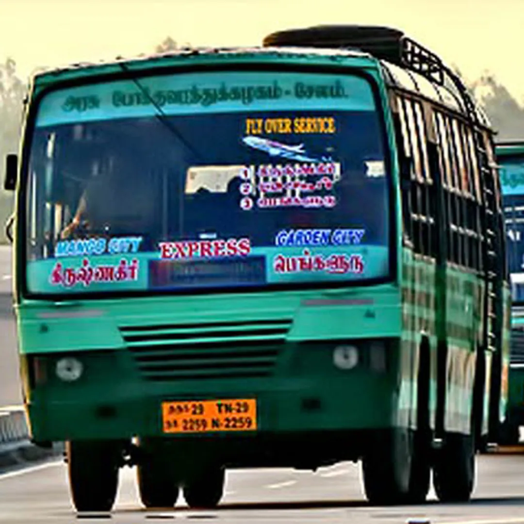 buses